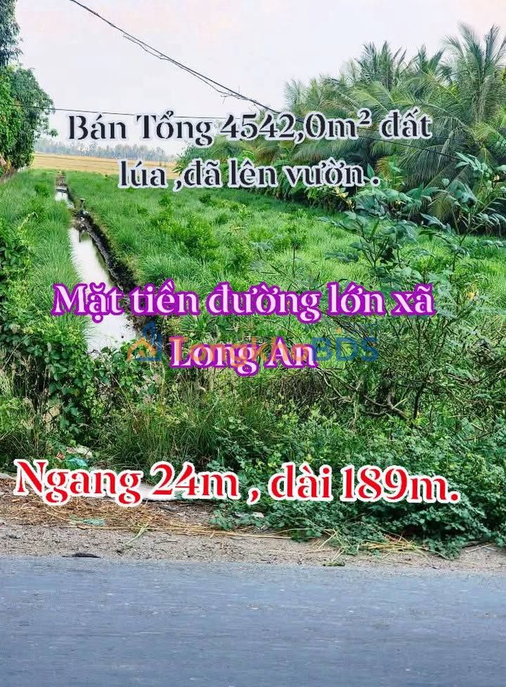 Bán Đất Vườn Nghỉ Dưỡng 4542m² Mặt Tiền Nhựa Lớn Xã Long An, An Giang