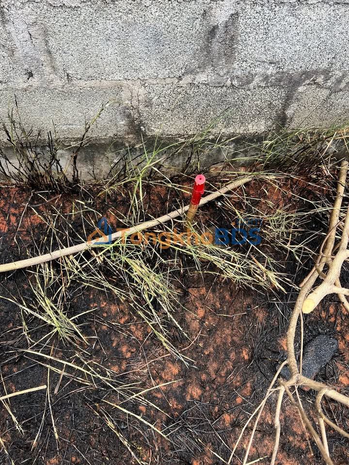 Đất nền Hàm Liêm 137m² - Mặt tiền đường chính hướng KCN, giá 1.4 tỷ