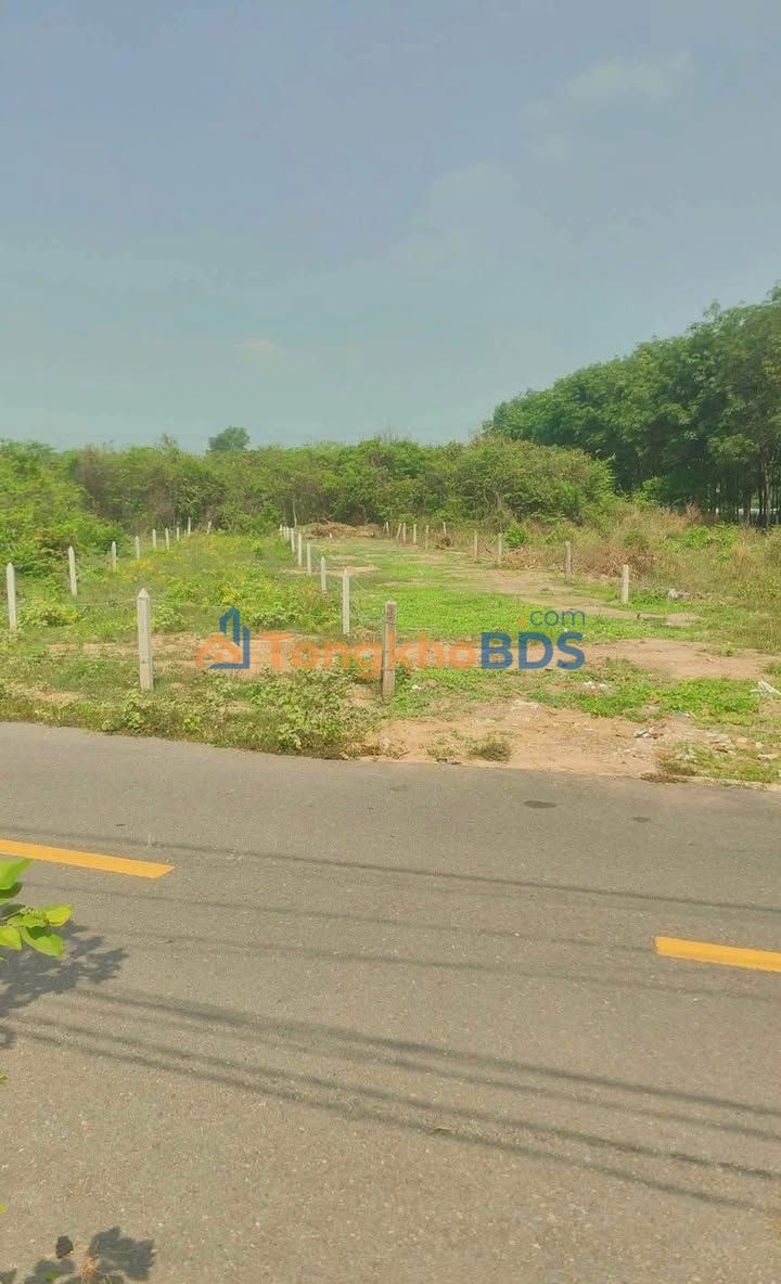 Bán Đất Mặt Tiền Đường Nhựa 250m² - Gò Vấp, TP.HCM - Giá 245 Triệu