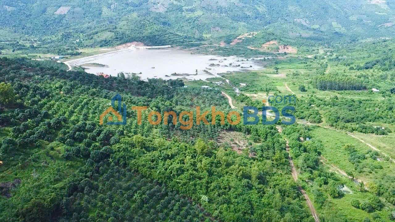 Đất rừng Bắc Nha Trang 1,6 ha 4,64 tỷ - Sổ đỏ chính chủ