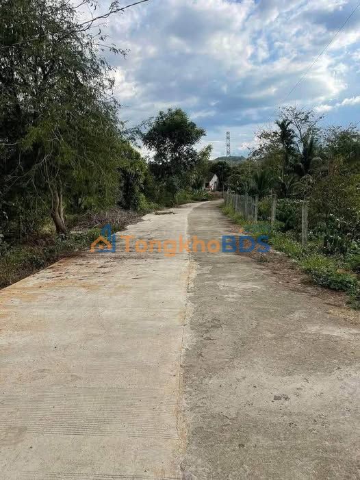 Đất Ea Kly Krông Pắc 900m² 550 triệu - Sổ đỏ chính chủ