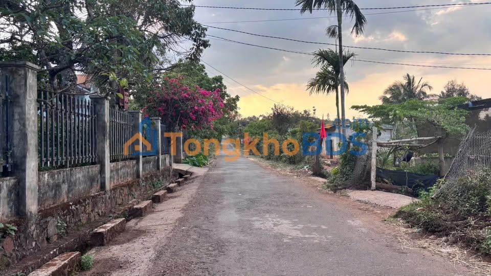 Đất nền KOMLEO Tuy Hòa 1.000m² 44 tỷ - Sổ đỏ chính chủ