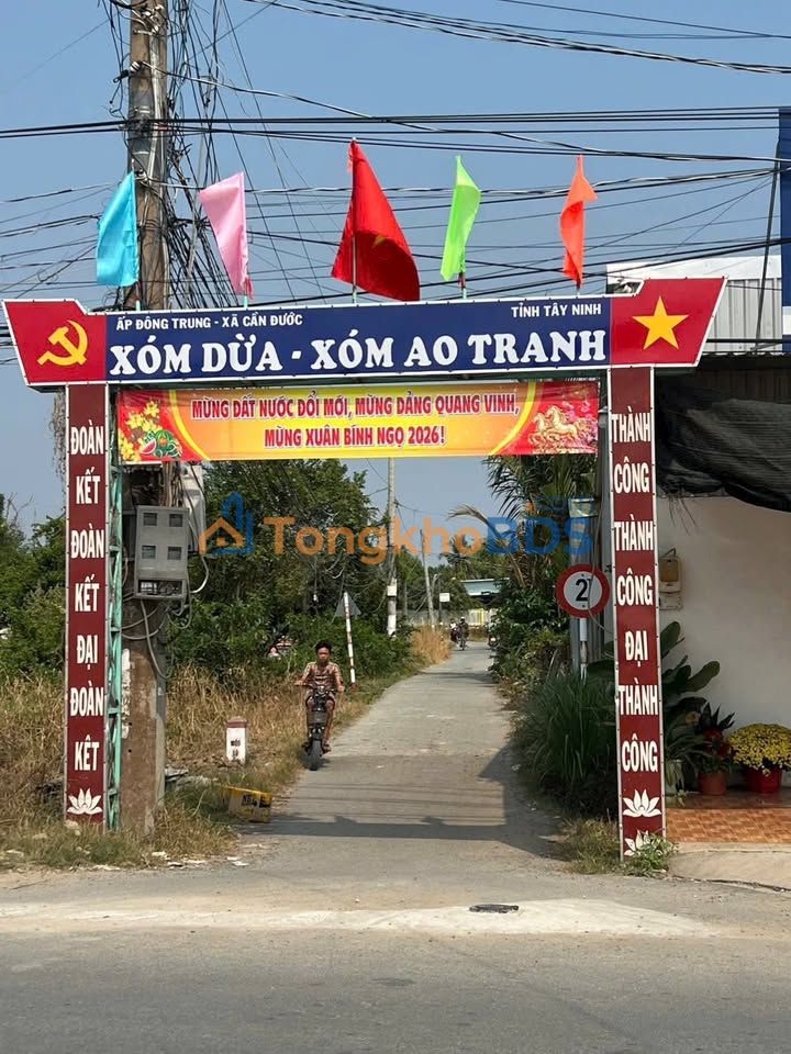 Đất Vườn Cần Đước, Long An 2300m² - Sổ Hồng Riêng, Giá Đầu Tư Hời