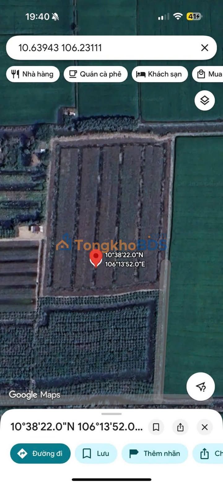 Đất vườn Thủy Đông Thạnh Hóa 10.000m² 1,1 tỷ - Đầu tư dài hạn