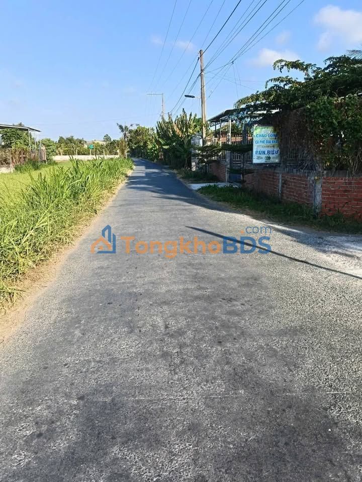 Bán Gấp Đất Nền Vĩnh An, Ba Tri 1186m² - Mặt Tiền Rộng, Sẵn Sàng Xây Dựng