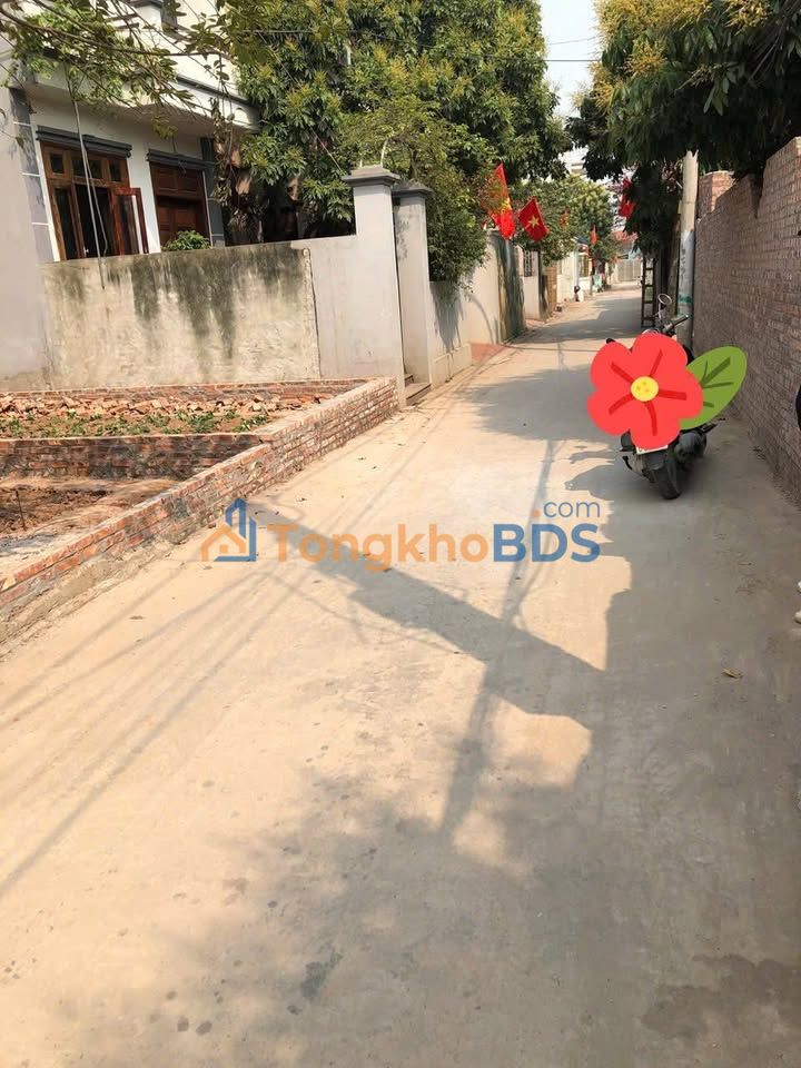 Đất nền Đồng Tháp, Đan Phượng 55.2m² - Sổ đỏ sẵn sàng, giá tốt đầu tư