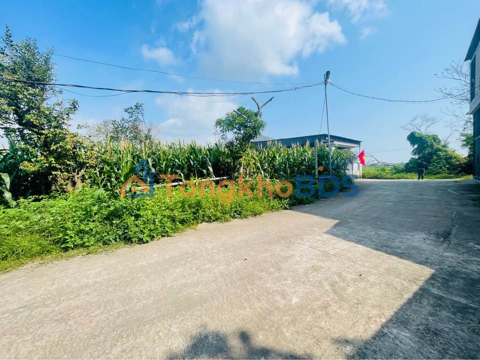 Đất Hưng Lộc - 125m² - 2 Tỷ - Ngõ Ô Tô Hướng Đông Nam