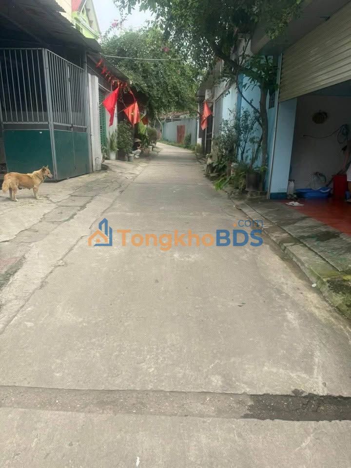 Nhà Cấp 4 66m² Vĩnh Yên - Chỉ 7xx Triệu, Gần Công Viên Văn Miếu