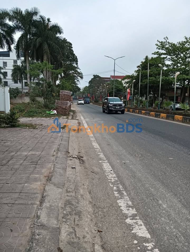 Đất Vĩnh Phúc 100m² Sổ Đỏ - Mặt Tiền Kinh Doanh Đường Trường Chinh