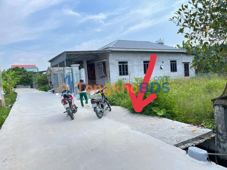 Đất nền Hưng Long, Ninh Giang 124m² - Gần KCN Cầu Hiệp, Đầu tư sinh lời