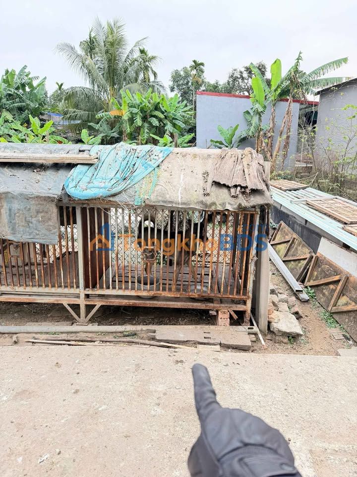 Lô đất 56m² Xích Thổ, An Dương - Chỉ 1.095 tỷ, Sổ đỏ sẵn sàng