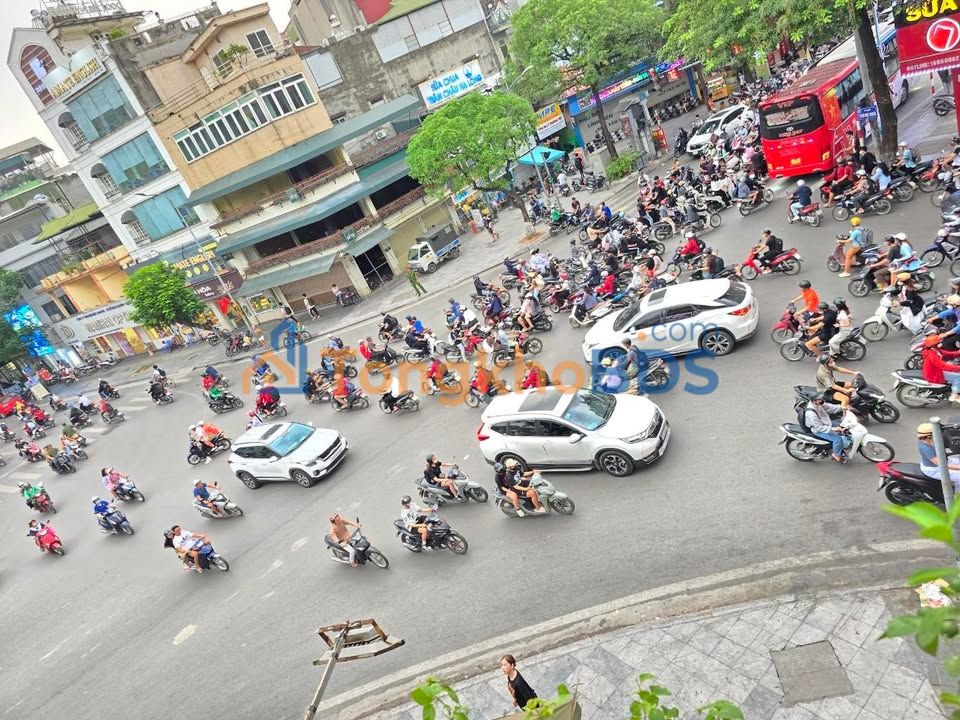 Mặt Phố Trần Đại Nghĩa 81m² - Lô Góc Kinh Doanh Đắc Địa 50 Tỷ