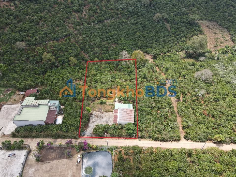 Đất Vườn Gung Ré 7200m² Sổ Đỏ - Có Nhà Sẵn, Giá 1.9 Tỷ