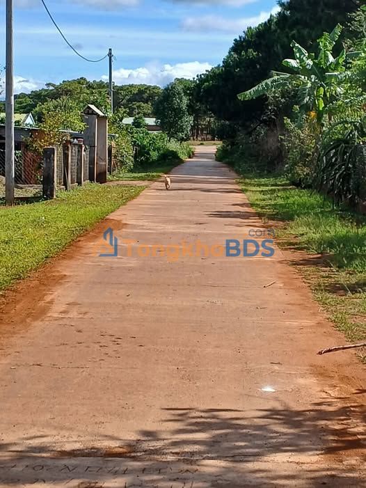 Đất nền FLC Đak Đoa - 125m² - Sổ hồng sẵn - Giá 5xx triệu