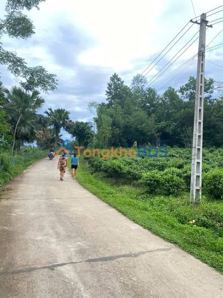 Đất Vườn Hà Giang 2800m² - Cơ Hội Đầu Tư Sinh Lời Tại Việt Quang