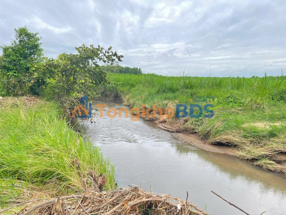 Bán Đất Vườn 6000m² Sổ Hồng Tại Xuân Lộc, Đồng Nai - Giá 1.9 Tỷ