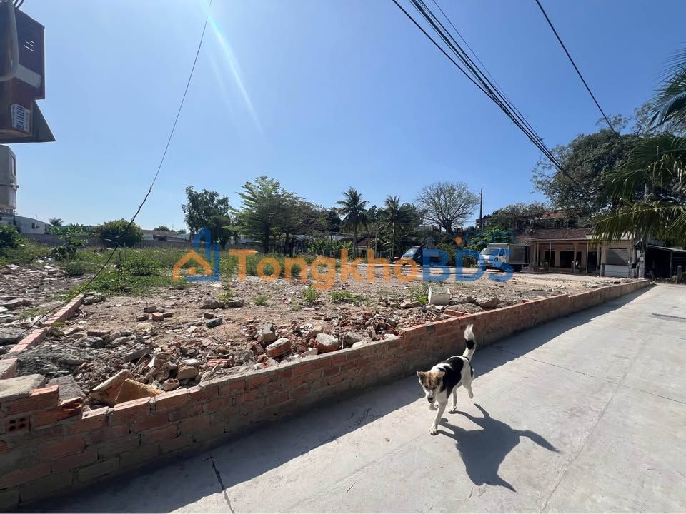 Bán Đất Hẻm Núi Cấm 1 Nha Trang 100m² Sổ Hồng Chính Chủ