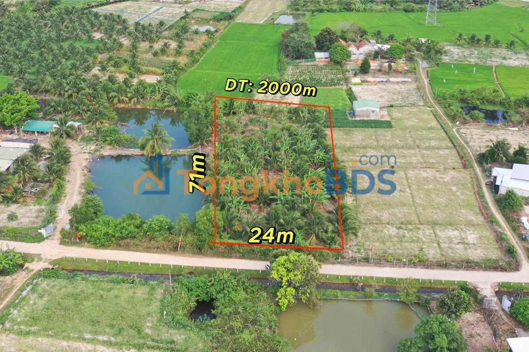 Đất Vườn 2000m² Xuân Tây - Sẵn Vườn Dừa, Ô Tô Tới Đất, Giá 2.16 Tỷ