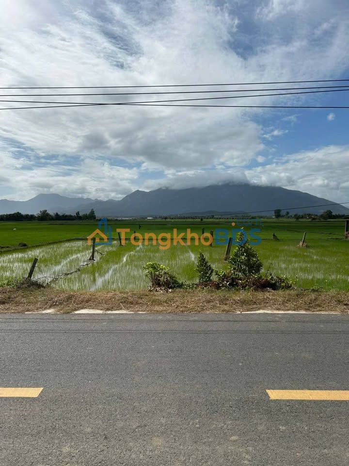 Đất nền Nam Vân Phong 205m² - Sổ đỏ chính chủ, sát biển