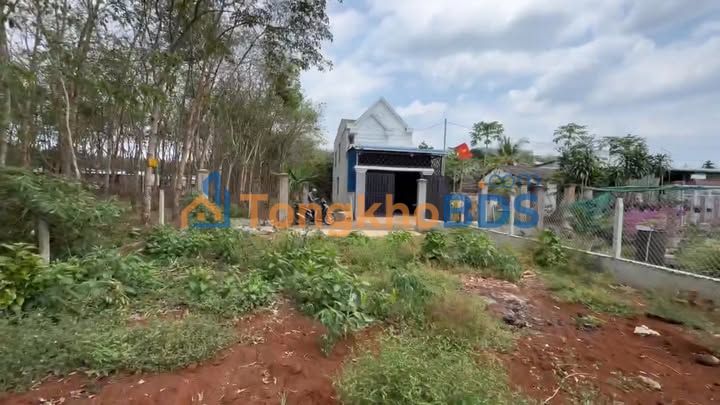 Đất Nền 240m² Cẩm Mỹ - Sổ Đỏ Sẵn, Gần QL56, Tiềm Năng Đầu Tư