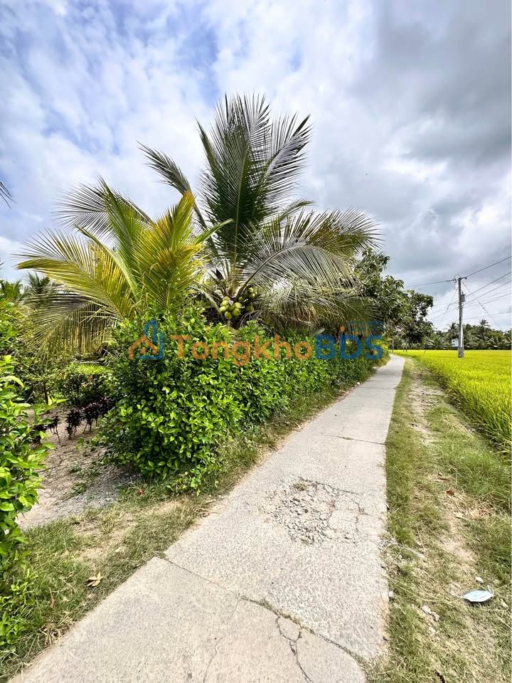 Đất 2 Mặt Tiền Sông Lớn Châu Thành, Trà Vinh - 7200m² Giá 8.6 Tỷ