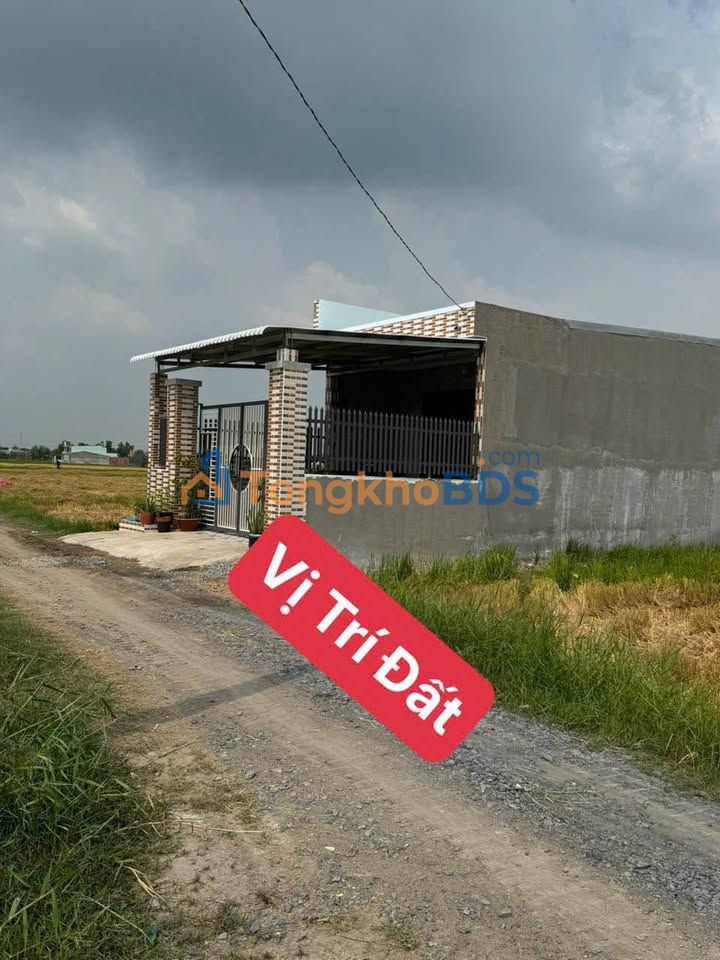 Đất nền 145m² SHR, Đức Hòa Long An - Giá 800Tr, Sẵn Sổ