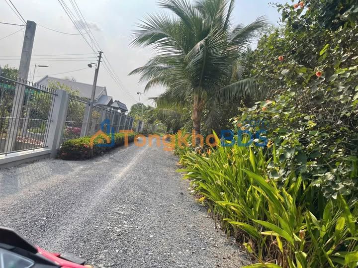 Đất Vườn 500m² Bến Lức - Sổ Hồng Sẵn - Giá Tốt Đầu Tư