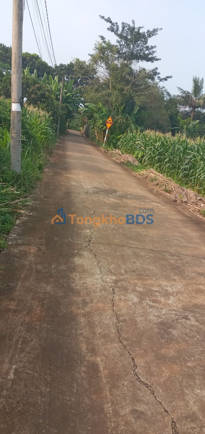 Bán Đất Mặt Tiền Đường 11x45m - Nghĩa Thành, TP.HCM - Giá Tốt