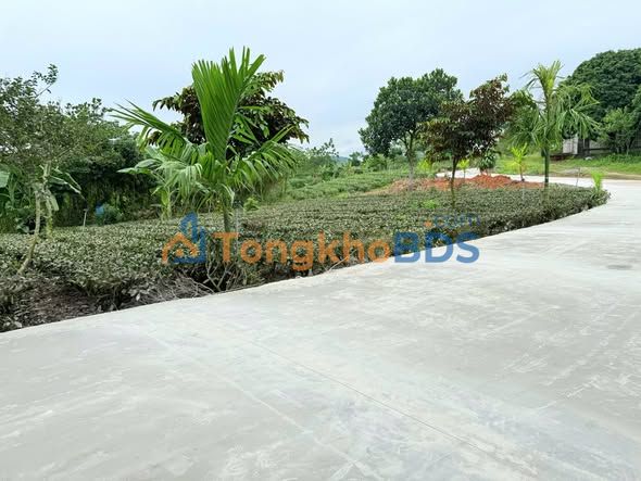 Đất nền 1800m² Đại Phúc, Phổ Yên, Thái Nguyên - Giá F0 chỉ 1.2 tỷ