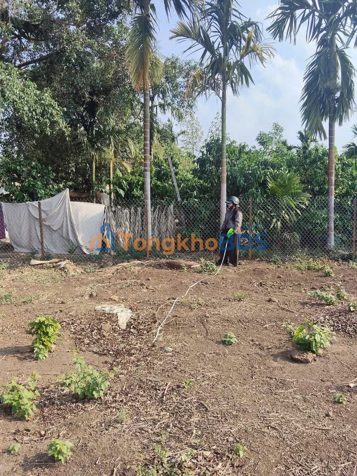 Đất Nền Nam Dong, Đắk Nông - Chính Chủ Bán 144m² Giá Tốt