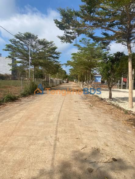 Đất nền HimLam TL8 Buôn Ma Thuột 110m² 1.19 tỷ - Thổ cư full