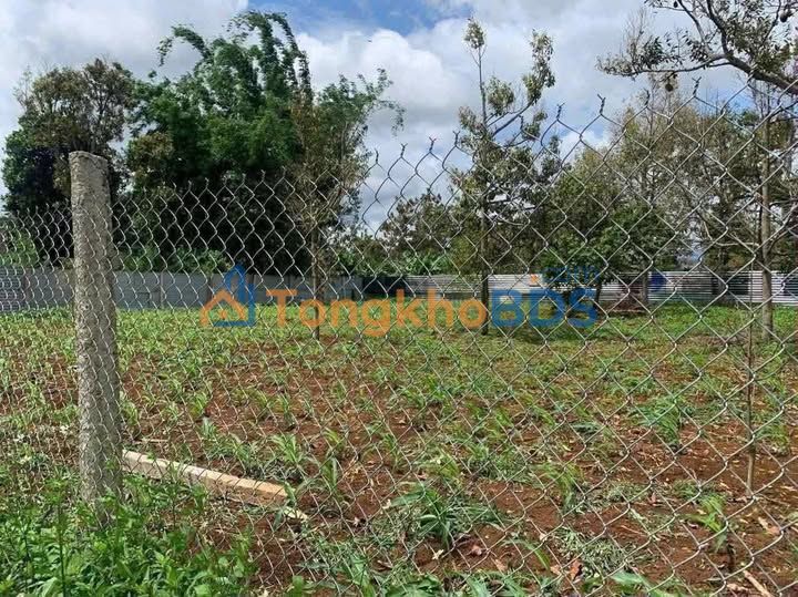 Đất nền Ea Kênh Krông Pắc 160m² 400 triệu - Đường to ô tô