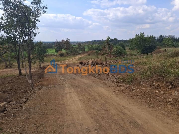 Đất nền Buôn Ma Thuột 1ha giá 3.6 tỷ - Tiềm năng tăng giá