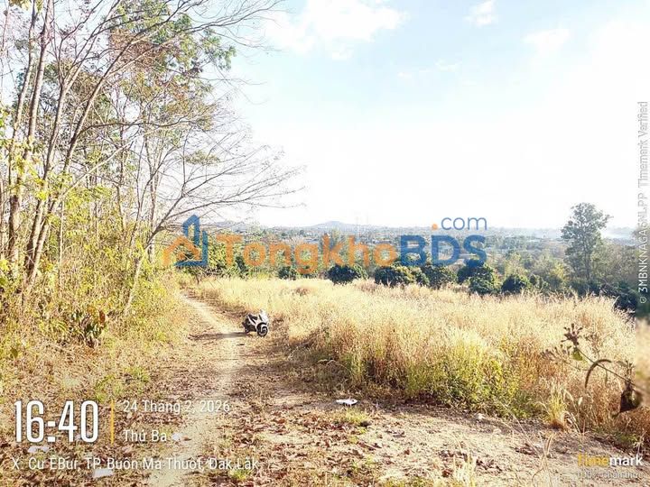 Đất nền Thành Nhất Buôn Ma Thuột 500m² 450 triệu - Đường ô tô