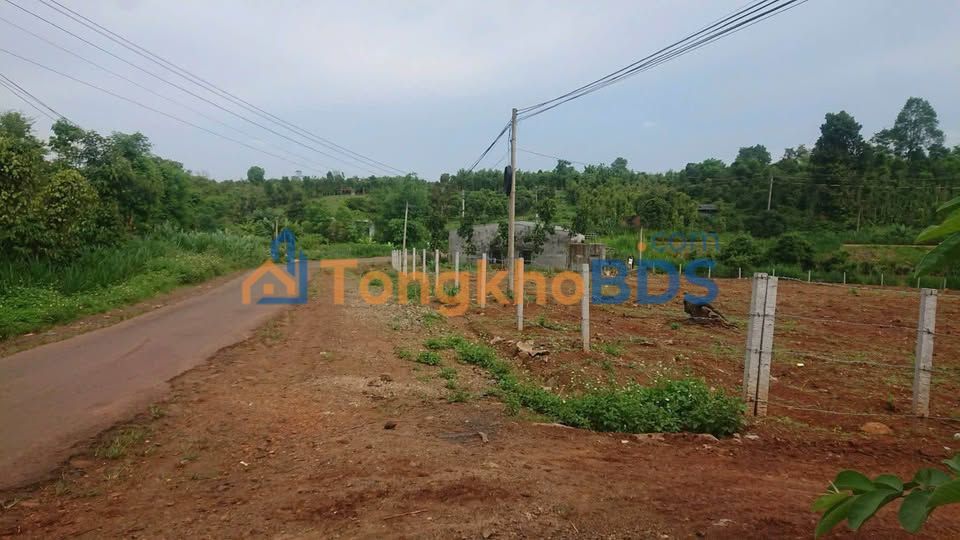 Đất Vườn Nghỉ Dưỡng Cư M'Gar 2.9 Sào - View Suối Tự Nhiên