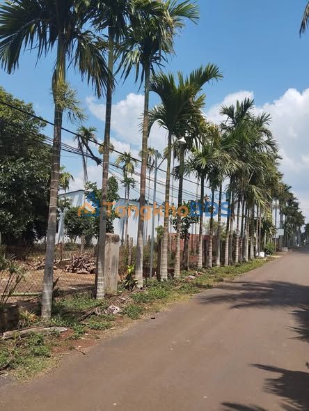 Đất Vàng Buôn Ma Thuột - 600m² Đường 20B, Hòa Thuận - Chính chủ gửi bán