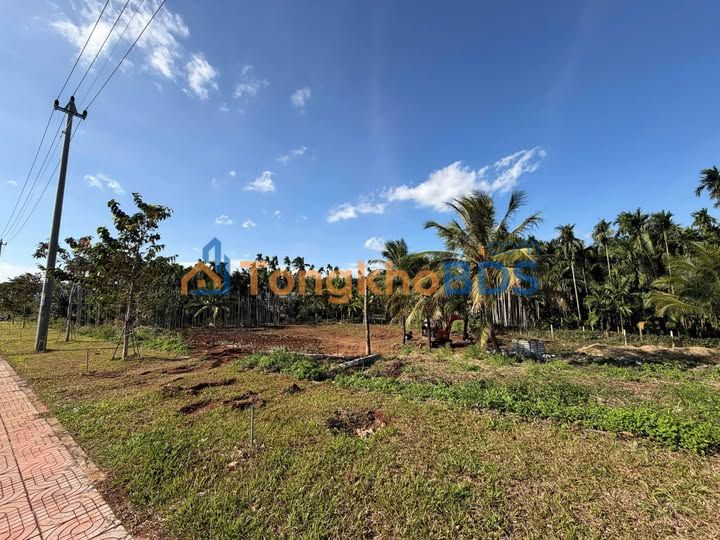 Đất Mặt Tiền Đại Lộ Krông Năng - 2900m² - 65 Tỷ - Sẵn Sàng Kinh Doanh