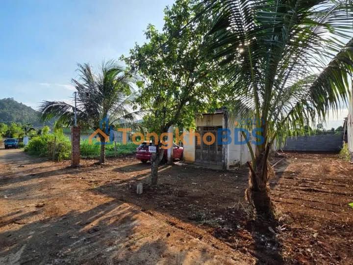 Đất thổ cư Thôn 8 Cuebur 498m² 2,45 tỷ - Sổ đỏ chính chủ