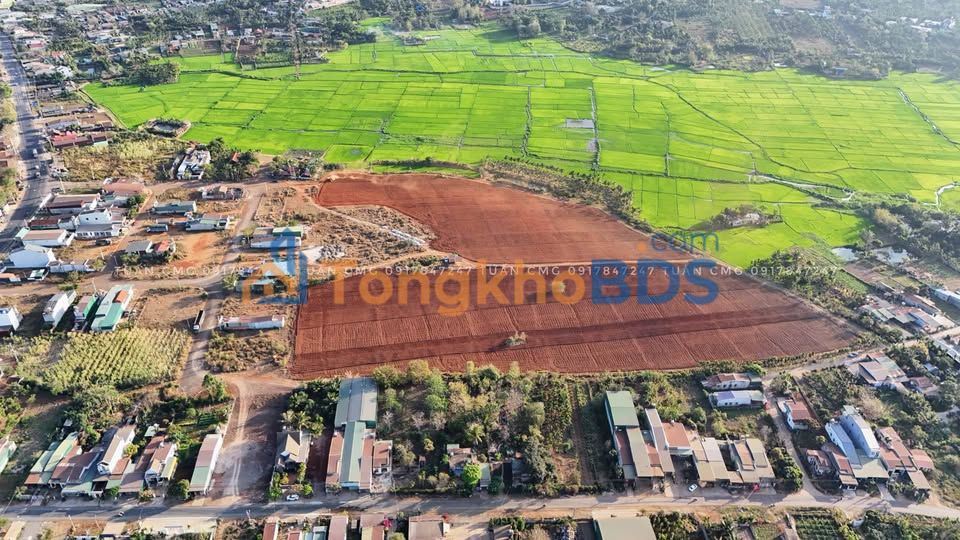 Biệt thự VIP Eapok 304m² - Full Thổ Cư, View Cánh Đồng