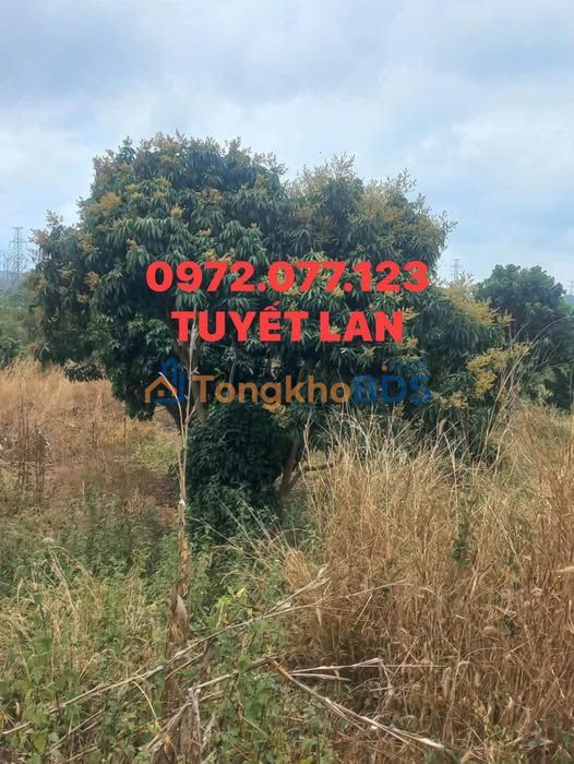 Đất Nền Buôn Ma Thuột 500m² - Sổ Riêng, Oto Tới Đất