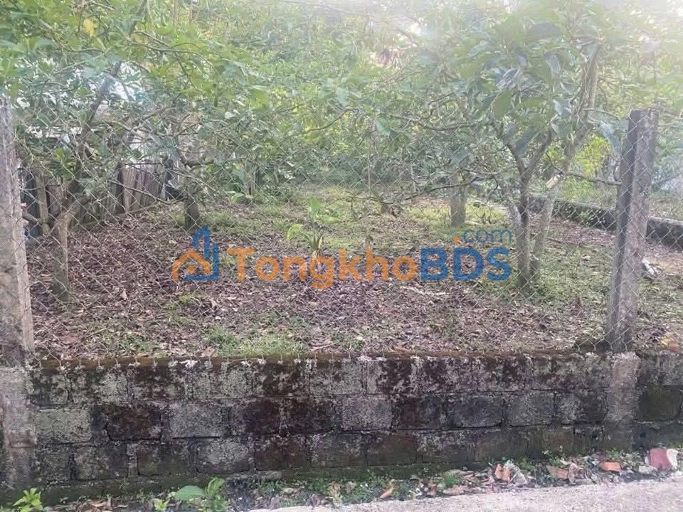 Bán Đất Lộc Châu, Bảo Lộc 360m² (100m² thổ cư) - Giá 1.42 Tỷ