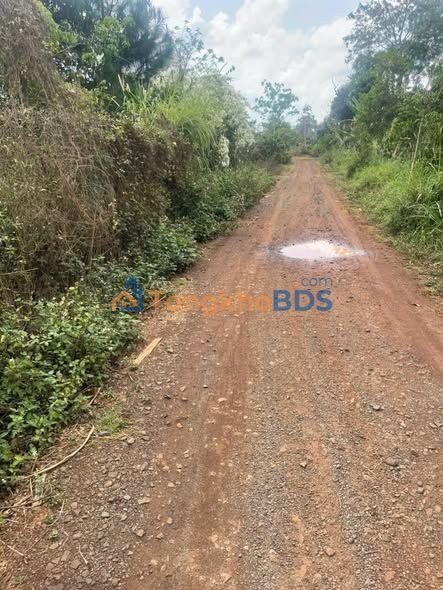 Bán Đất Đỏ Bazan Cư M'gar 2.8 Sào - Giá 1.8 Tỷ