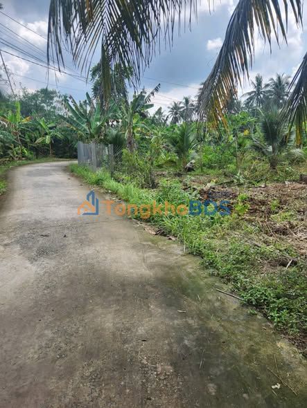 Đất Vườn Bến Tre 4700m² - Sổ Đỏ Rõ Ràng, Giá Đầu Tư Tốt