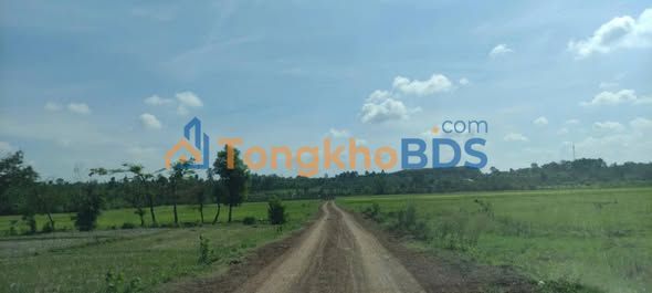 Đất Nền Thổ Cư 675m² Cư Suê, Cư M'gar - Sổ Đỏ Rõ Ràng, Giá Đầu Tư 750 Triệu