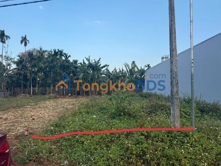 Đất nền Tân An BMT 125m² 1.13 tỷ - Sổ đỏ chính chủ