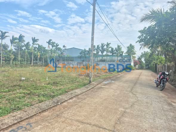 Bán Đất Vị Trí Vàng Phường Tân An, Buôn Ma Thuột - 198m², Sổ Hồng Riêng