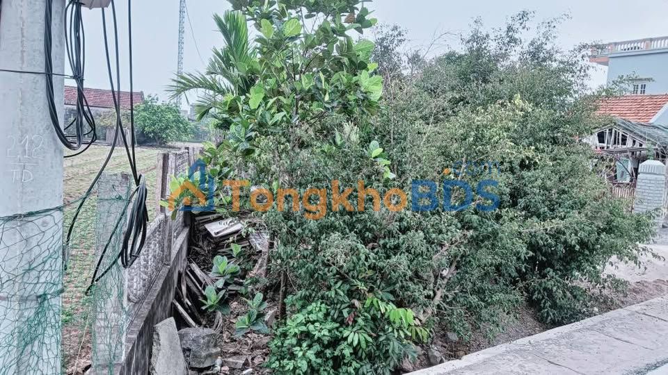 Bán đất mặt tiền nhựa 110m² Hải Thịnh, Nam Định - Kinh doanh đắc lợi