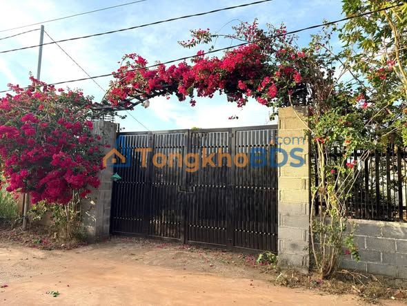 Bán Gấp Nhà Vườn Tâm Huyết 450m² Đắk Lắk - Giá 2.05 Tỷ