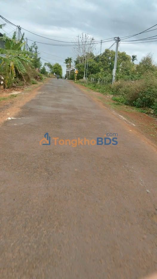 Đất Farm 2170m² Hai Mặt Tiền Krông Năng - Giá Tốt Nhất