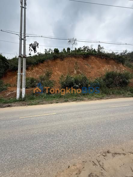 Đất nền Rừng Mơ Bắc Kạn 200m² - Sổ đỏ chính chủ